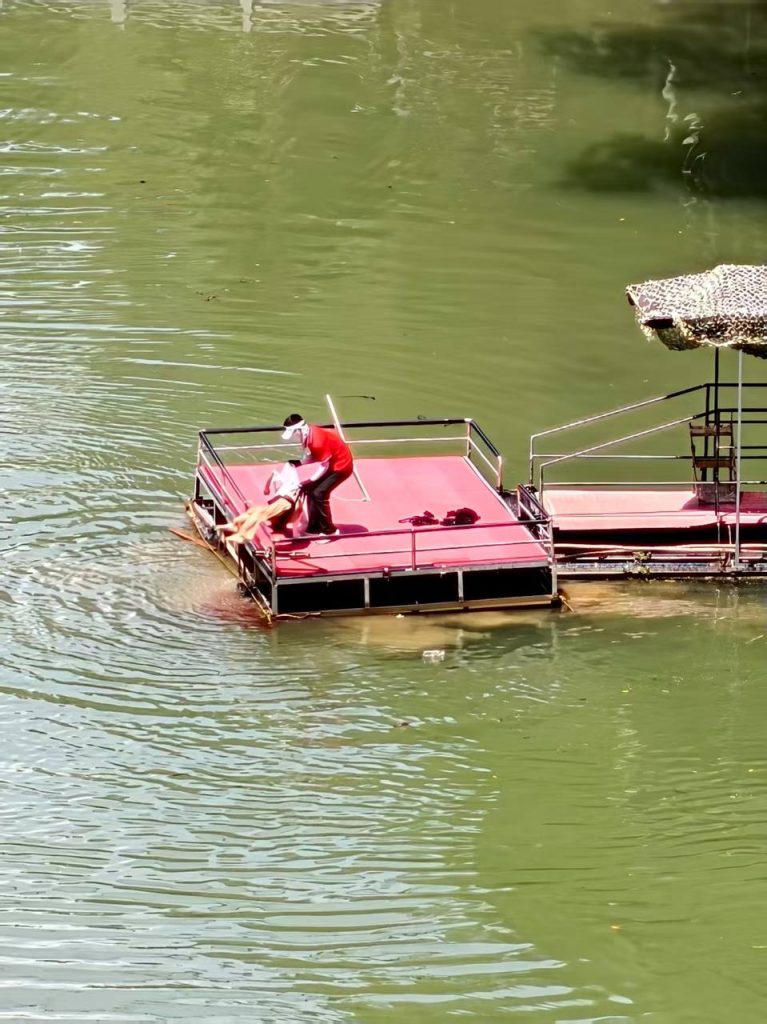 图片[5]-湖北宜昌 三峡 蹦极 绳子断了 人摔在台子边上，掉水里两分钟才捞上来，水里全是血！官方通报是扣子没扣好，并不是绳子断了！我担心的事还是发生了！-测试测试