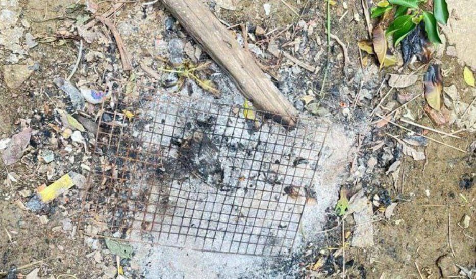 柬埔寨”蜥蜴蛋毒杀”悲剧！34岁男子无视警告，24小时致命中毒-测试测试