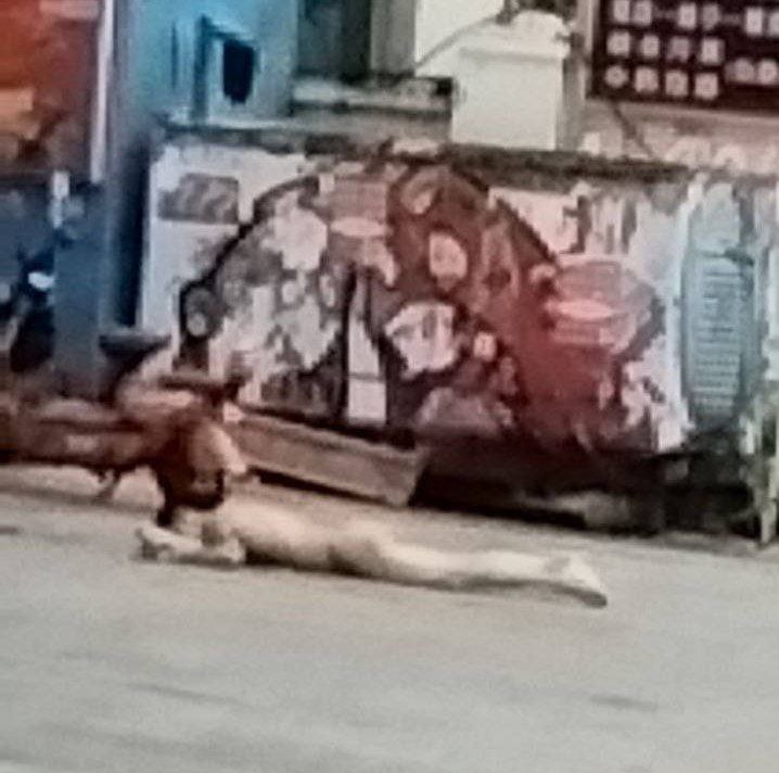 柬埔寨 #突发事件 #西港 金万豪酒店跳楼：据说是一名中国男子-测试测试