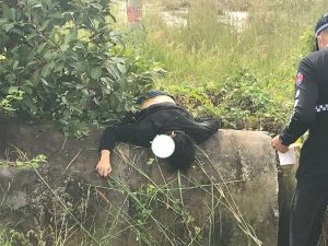 柬埔寨 #突发事件-测试测试