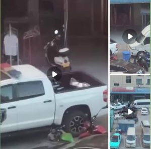 金三角 #网友投稿-测试测试