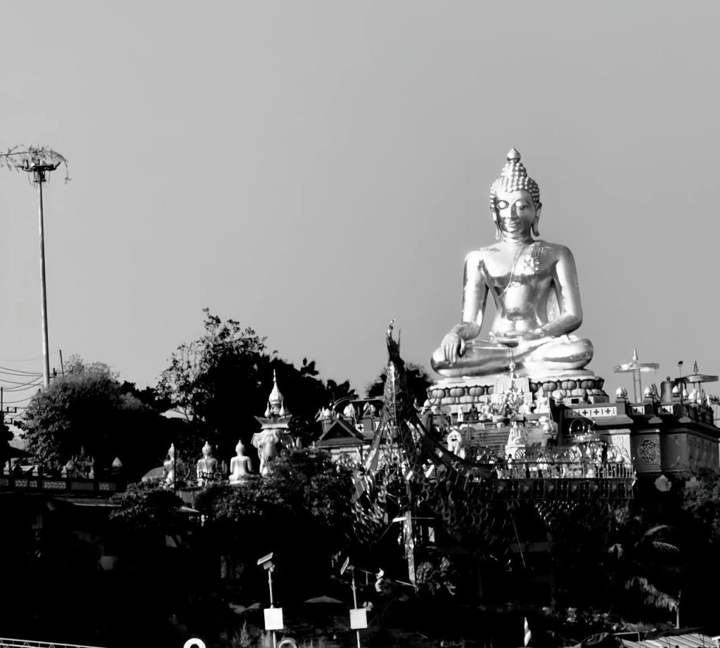 中国警方卧底在金三角身亡 ，引发特区被取消网络博彩牌照大规模清查驱逐电诈人员-测试测试