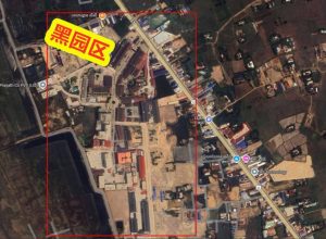 柬埔寨 #狗推爆料:柬埔寨【白马黑园区】-测试测试