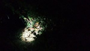 马德望 尸体后续：现场照片视频像拎小鸡崽子一样😅 不知道挂壁多久了-测试测试