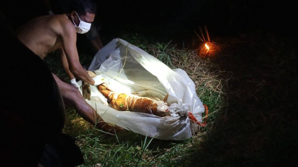 图片[2]-马德望 尸体后续：现场照片视频像拎小鸡崽子一样😅 不知道挂壁多久了-测试测试