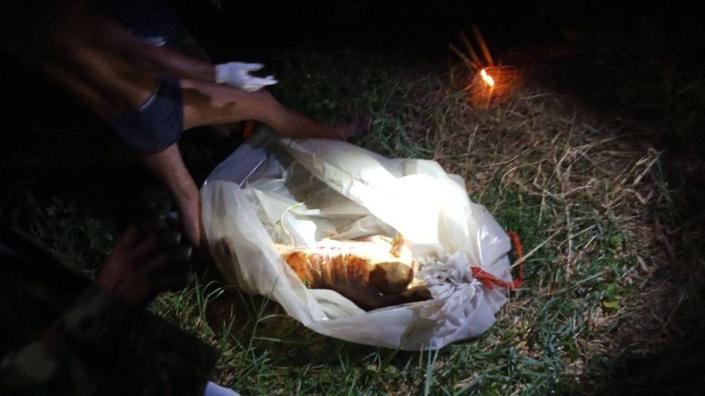 图片[3]-马德望 尸体后续：现场照片视频像拎小鸡崽子一样😅 不知道挂壁多久了-测试测试