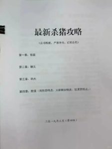 杀猪盘诈骗流程-测试测试