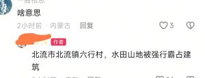 12月3日凌晨，玉林市北流市北流镇六行村水田山地被占用事件当地村民一夜没有休息，具体情况不明……-测试测试